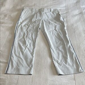 Sies Marjan Cropped Blue and White Striped Pants Size 4